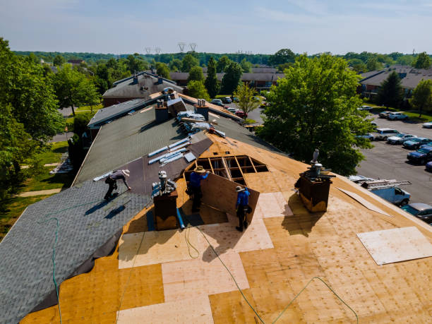 Quick and Trustworthy Emergency Roof Repair Services in Mount Gay Shamrock, WV