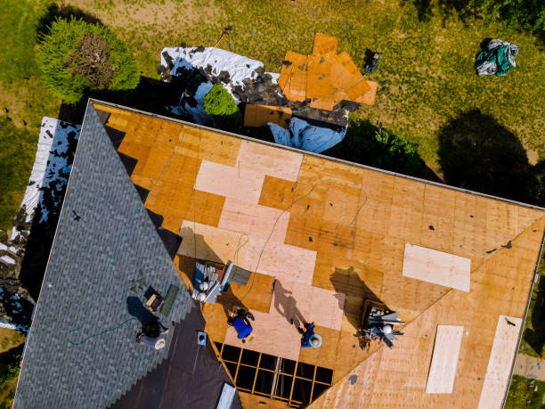 Best Storm Damage Roof Repair  in Mount Gay Shamrock, WV