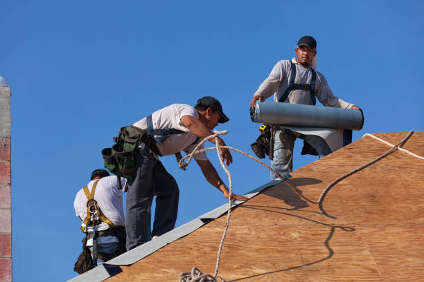 Best New Roof Installation  in Mount Gay Shamrock, WV