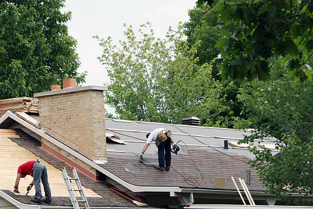 Roof Gutter Cleaning in Mount Gay Shamrock, WV